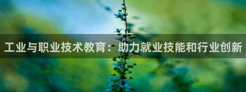 九游会j9网站首页|工业与职业技术教育：助力就业技能和行业创新